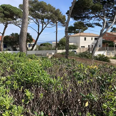Studio : Plage A 50m, Terrasse, Clim, Wifi, Parking, 35m², 3-4 Pers - Fr-1-335-198 *